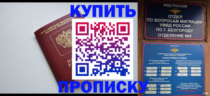 прописка регистрация в Амурской области